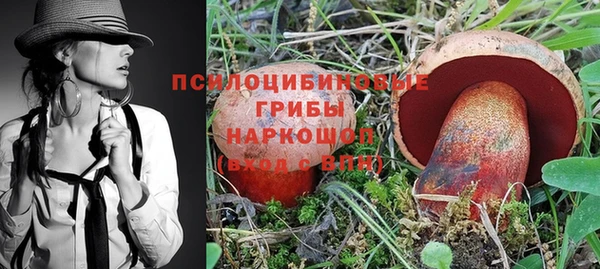 кокс Богородицк