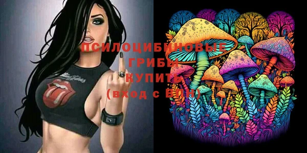кокс Богородицк
