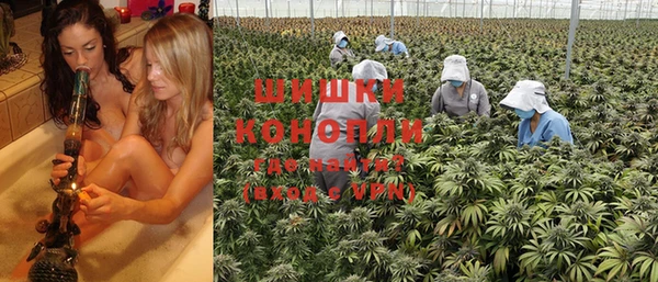 кокс Богородицк